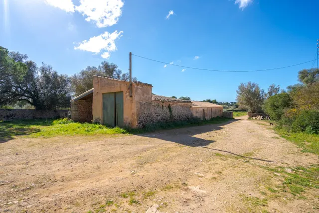 Finca de 124 hectáreas con vivienda en Puigderrós, Llucmajor. — 9