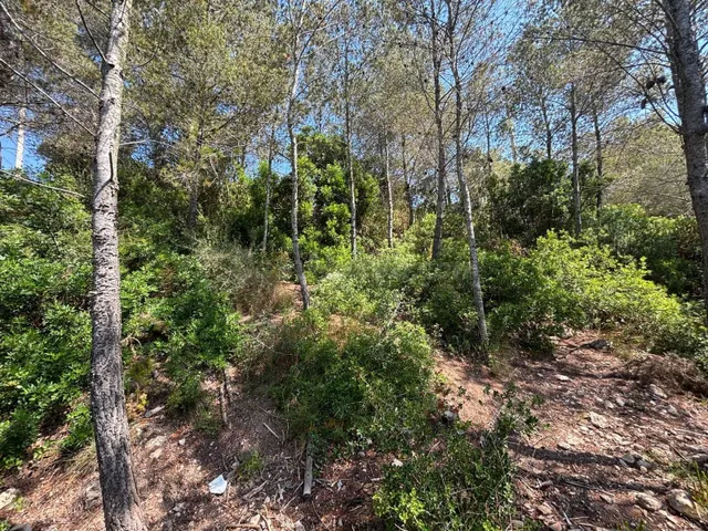 Parcela en Olivella, Les Colines - foto 3