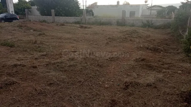 SOLAR EN ALCANAR PLATJA - foto 4