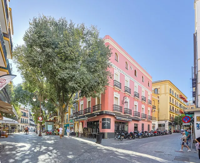 Piso 1 habitación 45m² en venta - Santa Cruz - Alfalfa — 19