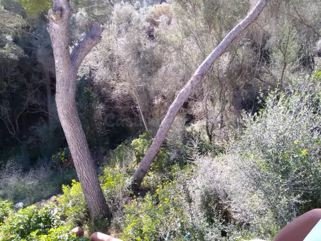 Solar 200m² en venta - Cala Llombards - foto 4