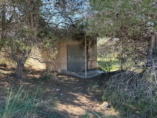 Se vende parcela de 3.000 metros cuadrados con una casa/almacén de 26 metros cuadrados junto a la Ronda Sur de El Altet!!!! — 2