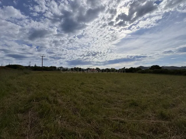 Terreno rural en venta - Sta. María de Getxo - foto 5