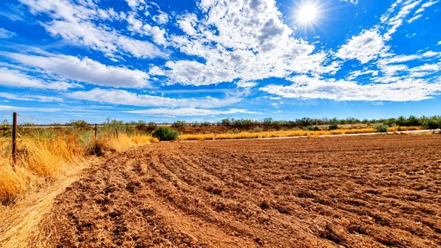 Parcela rústica de 4.824 m2 en Llanos de Moraleda, Moraleda de Zafayona — 10