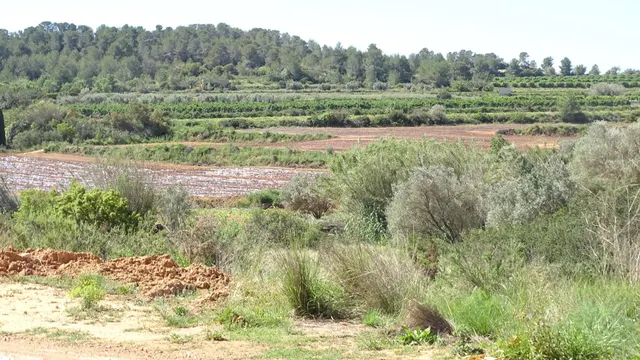 Terreno en venta en Vilamarxant — 4