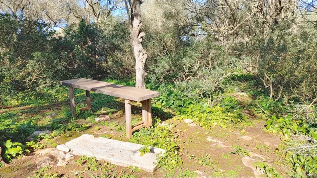 Enorme terreno boscoso con proyecto de un chalet y piscina en Felanitx, Mallorca — 14
