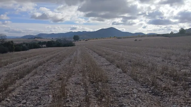 Parcela en venta - Yecla — 23