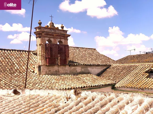 MAGNIFICA CASA EN EL CENTRO DE JEREZ — 20