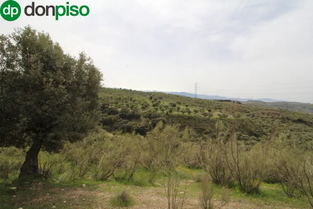 FINCA EN CORTIJO SAN JERÓNIMO (BARTODANO) — 46