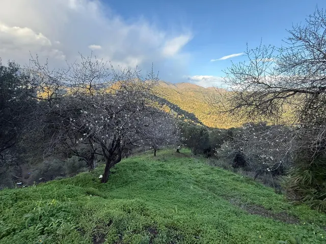 Finca rústica en zona alta de Marbella con vistas y servicios — 21