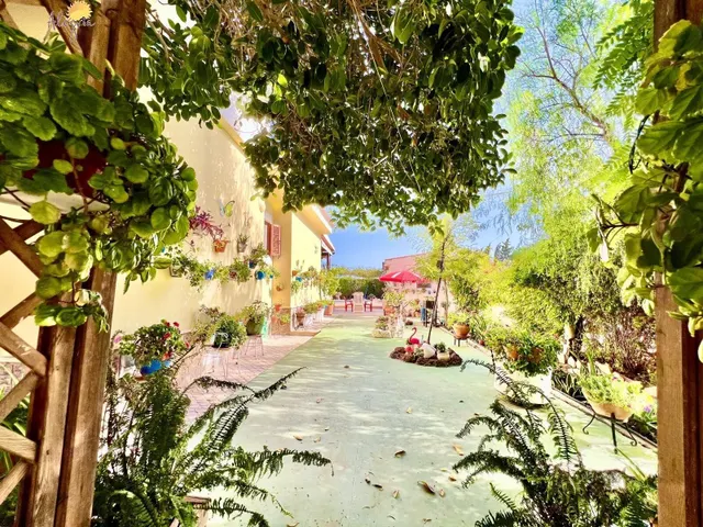 Villa 4 habitaciones 627m² en venta - Costa blanca sur — 21