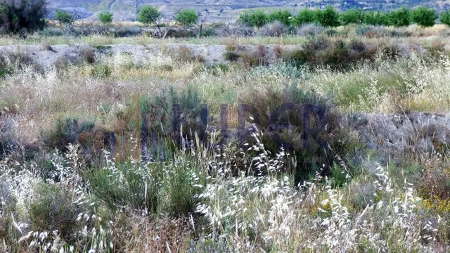 Se vende Terreno Rustico en Alicante en la zona de Verdegas, - foto 3