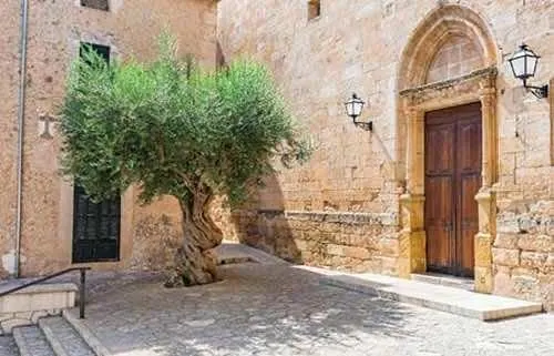 Ikv00514-1. finca rústica de 40.070 m2 con edificación de 488 m2 en Sineu. — 10