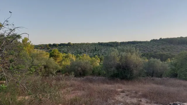 Finca Rústica en el Perello con muchas posibilidades