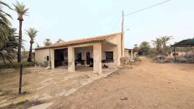 Oportunidad Única en el Campo de Elche – Zona Sur.