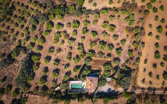 Finca rústica 4 habitaciones 186m² en venta - Centro — 40