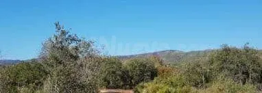 Terreno Rústico 77332m² en venta - El mollo - foto 3