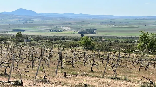 VILLA DE OBRA NUEVA EN YECLA, MURCIA — 33
