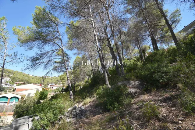 TERRENO EN LA ENTRADA DE CAN SURIÀ, OLIVELLA — 12