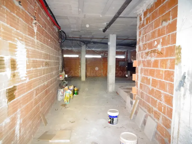 OPORTUNIDAD CHOLLO DE LOCAL PARA REFORMAR EN ASPE A MUY BUEN - foto 4