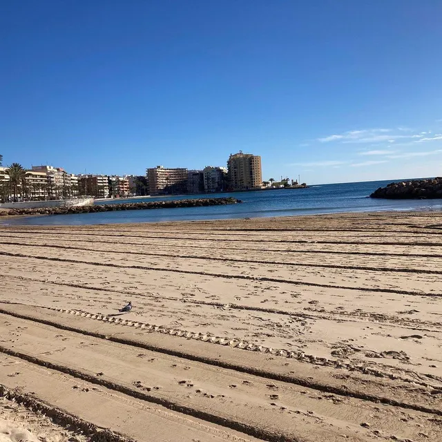FANTASTICO APARTAMENTO EN EL CENTRO DE TORREVIEJA, IDEAL PARA PAREJAS O PERSONAS SOLTERAS — 23