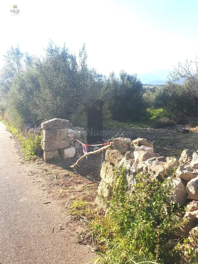 FINCA RÚSTICA EN MURO CON CASETA DE 28 M2 - foto 4