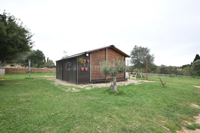 S'Aranjassa, parcela con LUZ y AGUA para vivienda unifamilia - foto 5