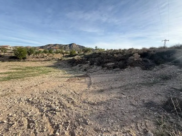 Venta  de terreno en Barinas (Abanilla) — 12