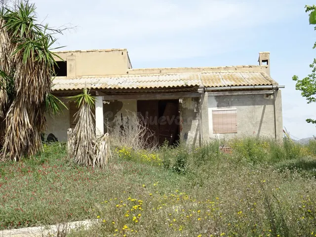 ESPLENDIDA FINCA RUSTICA CON CASA PARA CULTIVAR EN ASPE EN V