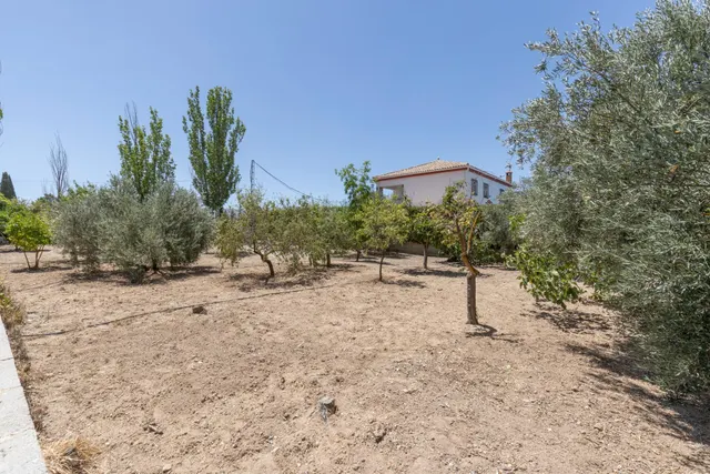Terreno urbano en la aldea de los Bermejales, termino de Arenas del Rey — 9