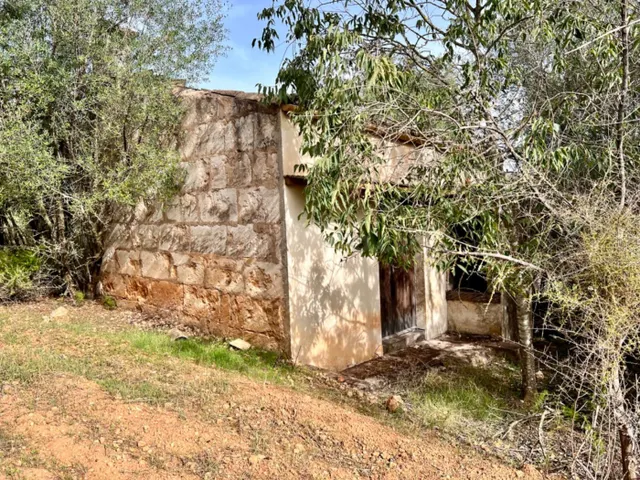 Finca rústica Campanet — 5