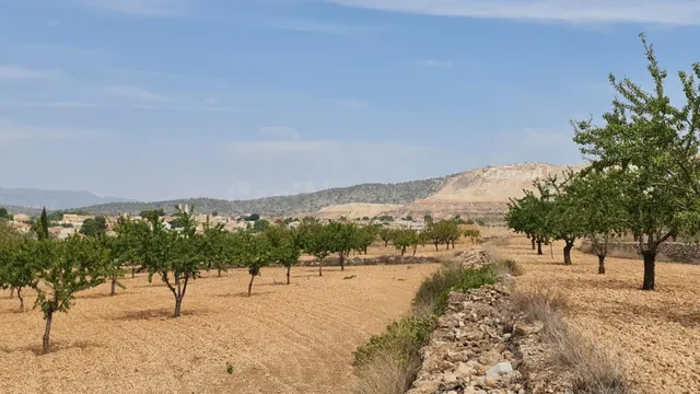 Parcela de 7.558 m2 en venta en Algueña, Comunidad Valencian - foto 2