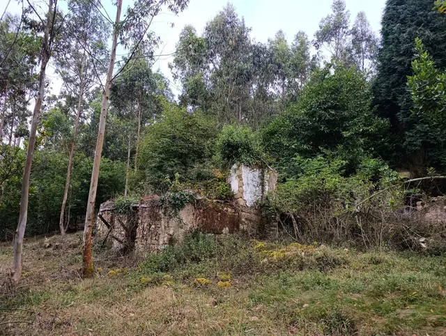 Finca rústica 40m² en venta - Northern spain — 13