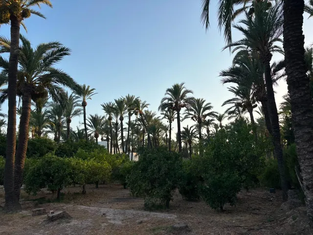 Villa en Alzabares — 45
