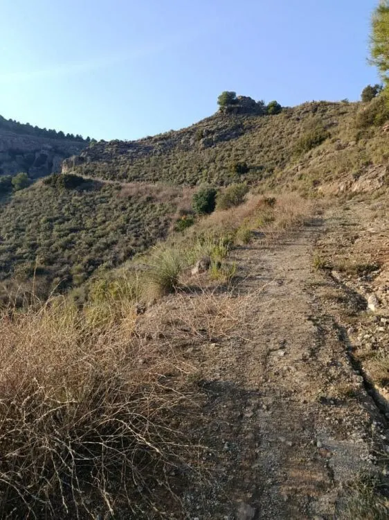 Parcela en venta - Alora pueblo — 5