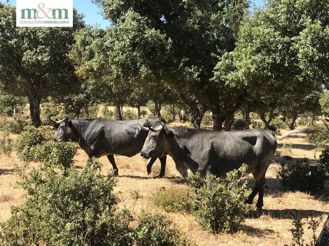 ¡¡¡CASA CON JARDIN EN VENTA EN FRADES DE LA SIERRA!!! — 48