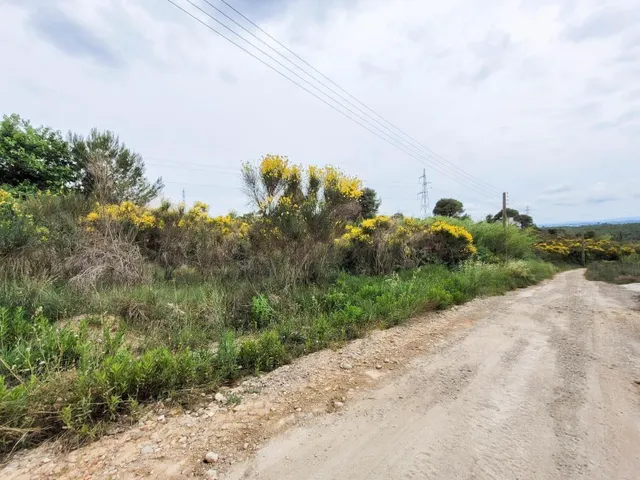 Terreno rústico de 10.735 m2 en Castellbisbal zona Can Nicolau de Dalt. — 8