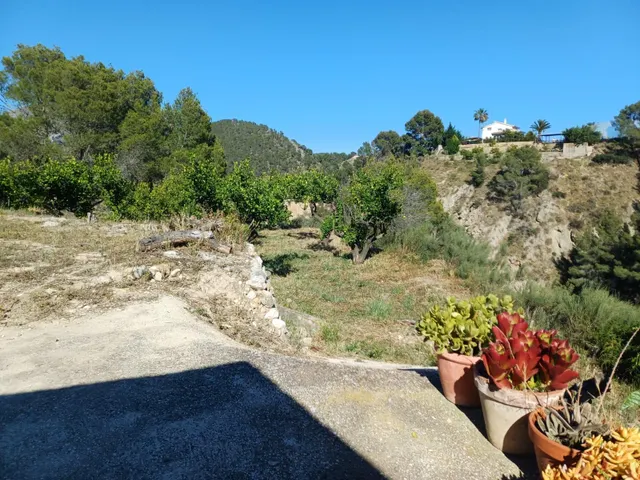 PARCELA DE TERRENO CON CASA CONSTRUIDA Y ARBOLES FRUTALES — 32