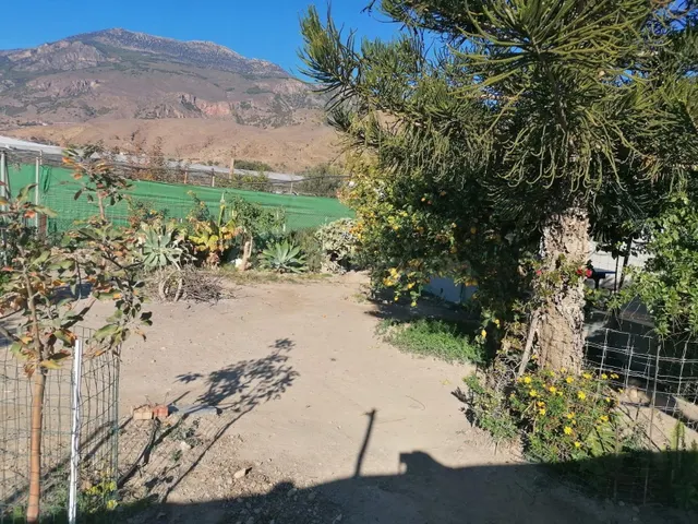 Cortijo con terreno - foto 4