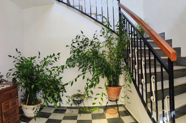 SERÓN ( ALMERÍA ) BARRIADA LOS RASPAJOS. VENTA DE CASA DE CA - foto 4