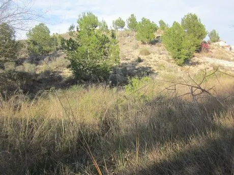 ++GRAN PARCELA DE 1700M2 — 5