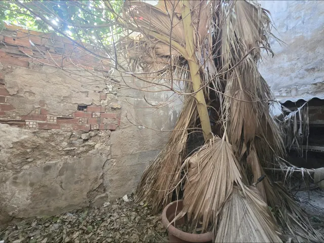 Casa en Aspe - foto 5