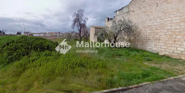 Terreno urbano en venta - Sa Pobla - foto 2