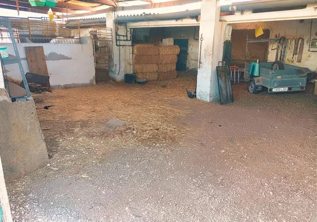 FINCA CON 3 APARTAMENTOS, NAVE Y 2.325 M2 DE PARCELA EN EL RAAL — 25
