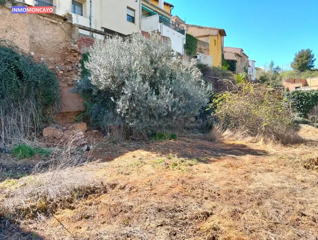 Se vende huerto en San Miguel