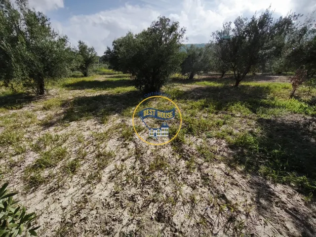 ¡¡¡OPORTUNIDAD!!! ENCANTADORA CASA DE CAMPO EN EXCLUSIVA EN ONTINYENT CON LUZ Y AGUA — 39