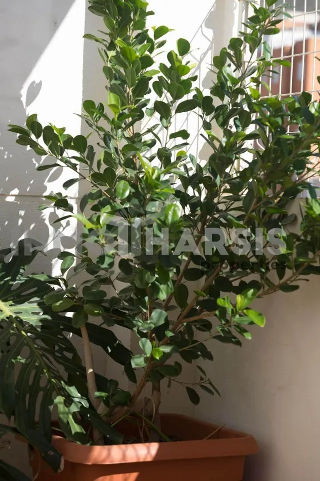 RESERVADO ATICO AGUADULCE — 19