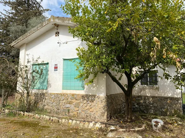 Maravillosa parcela rústica - foto 2
