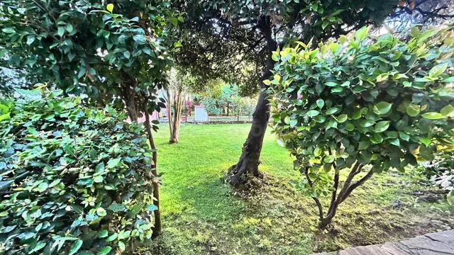 Espectacular Casa y Solar en el Corazón de Cacabelos - foto 2