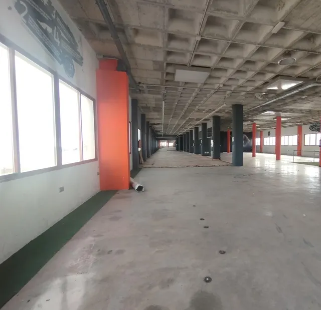 EDIFICIO INDUSTRIAL POL. CARRUS - ELCHE — 3